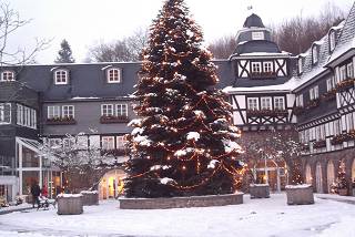 Winkhausen: Hotel Deimann, Weihnachtsbaum im Gutshof (QUelle:Privat)